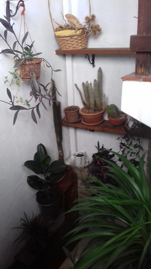 Osteria alle Risorgive Codroipo Esterno foto